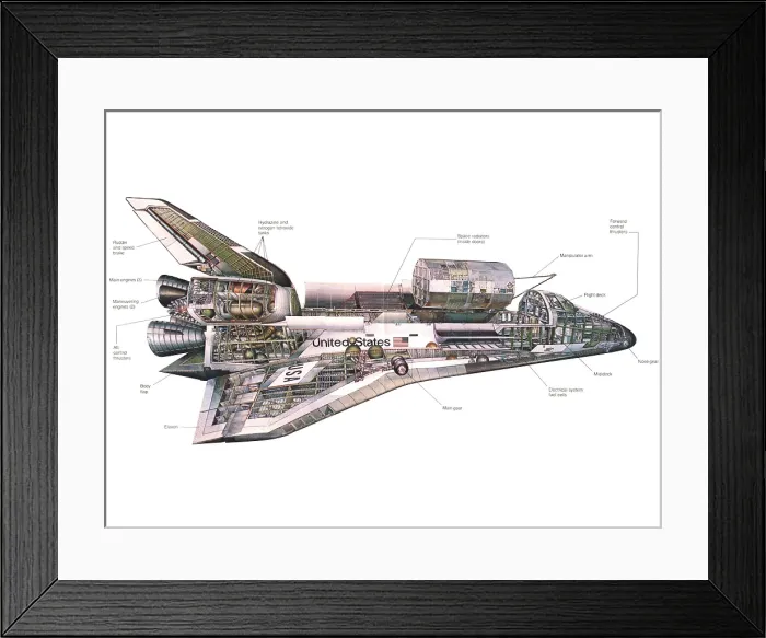 Framed Print : Cut-away diagram of the space shuttle. Diagram shows the pressurized crew compartment, the cargo bay, and the three main engines. 1980 Framed Print : Cut-away diagram of the space shuttle. Diagram shows the pressurized crew compartment, the cargo bay, and the three main engines. 1980
