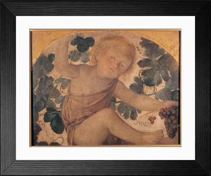 Framed Print : Putto under an Arbor, by Bernardino Luini, 1521 - 1523, 16th Century, fresco transferred to panel, cm 50 x 65 - Italy, Lombardy, Milan, Brera Art Gallery