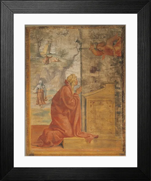 Framed Print : Annunciation to St Anne, by Bernardino Luini, 1516 - 1521, 16th Century, fresco transferred to panel, cm 165, 5 x 127, 5 - Italy, Lombardy, Milan, Brera Art Gallery. All Framed Print : Annunciation to St Anne, by Bernardino Luini, 1516 - 1521, 16th Century, fresco transferred to panel, cm 165, 5 x 127, 5 - Italy, Lombardy, Milan, Brera Art Gallery. All