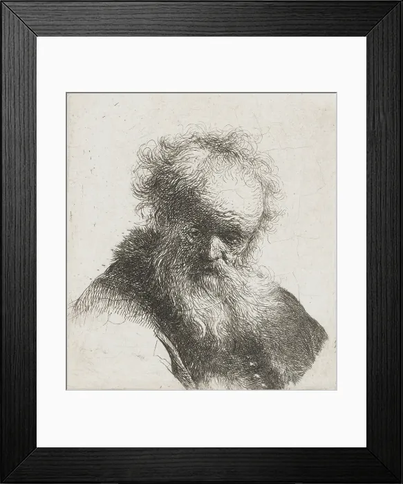 Framed Print : Old Man with Long Beard and White Shirt Sleeve, by Rembrandt van Rijn, 1630-34, Dutch print, etching on paper (BSLOC_2016_3_28)