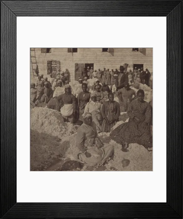 Framed Print : Large group of emancipated African Americans at a cotton gin on one of the Sea Islands in South Carolina, 1863-66