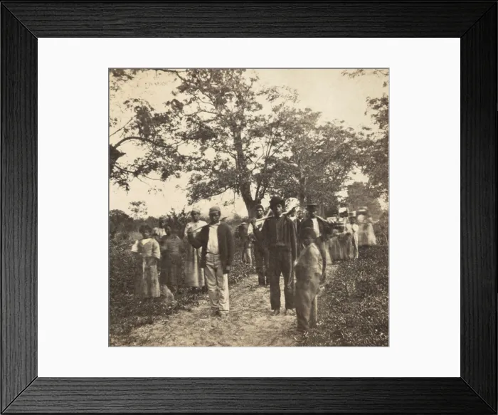 Framed Print : Previously enslaved African Americans on their way to work in the cotton field on St. Helena Island, circa 1863-66