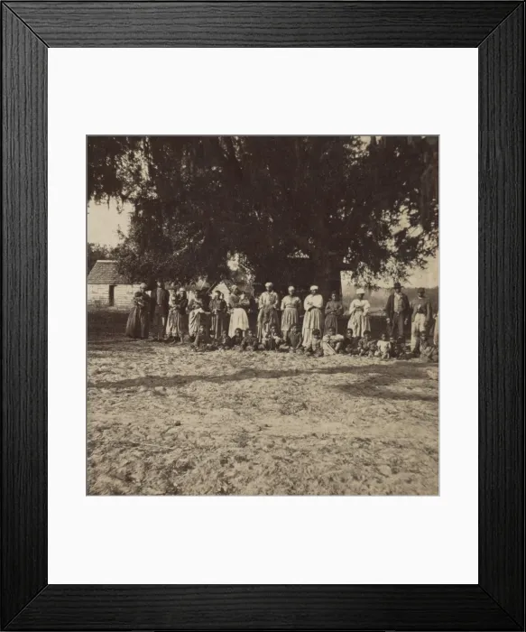Framed Print : African American Freedmen, Freedwomen, and children gathered under a large tree in Beaufort, South Carolina, 1862-64 Framed Print : African American Freedmen, Freedwomen, and children gathered under a large tree in Beaufort, South Carolina, 1862-64