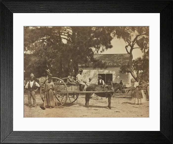 Framed Print : Liberated African American slaves with a horse-drawn cart at the plantation of James Hopkinson, 1862 Framed Print : Liberated African American slaves with a horse-drawn cart at the plantation of James Hopkinson, 1862