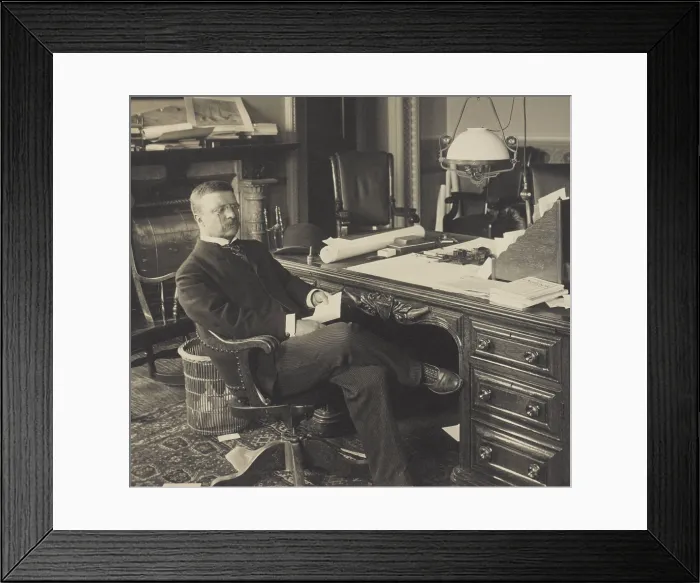 Framed Print : Assistant Secretary of the Navy, Theodore Roosevelt at his desk, 1897-98. On the floor are discarded documents, appear in other office portraits of TR (BSLOC_2017_4_99)