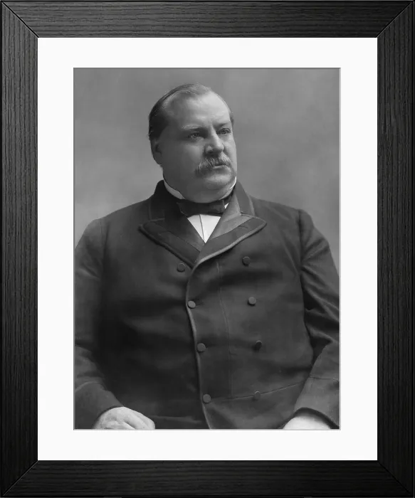 Framed Print : Grover Cleveland, 22nd US President, c. 1885