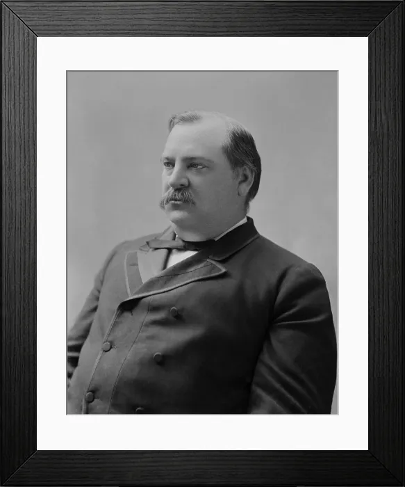 Framed Print : Grover Cleveland, 22nd US President, c. 1885