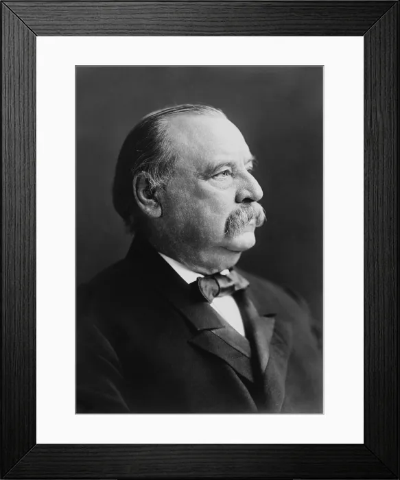Framed Print : Former President Grover Cleveland, 22nd and 24th US President in 1903 photo by Frederick Gutekunst