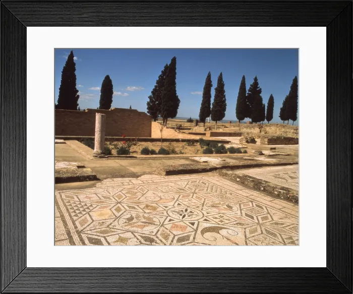 Framed Print : Flooring of a house, 2nd Century b.C. mosaic - Spain, Italica. Detail. Mosaic floor. - 2004 /  / Mondadori Portfolio / Everett Collection (1829252)**US SALES ONLY**