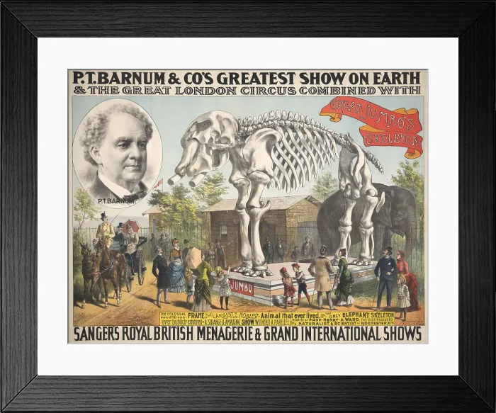 Framed Print : Poster for P.T. Barnum & Co.s, GREATEST SHOW ON EARTH, 1888 with Great Jumbos Skeleton. From 1882-85, Jumbo was the Circus star, until killed in a train accident in Sept. 1885 Framed Print : Poster for P.T. Barnum & Co.s, GREATEST SHOW ON EARTH, 1888 with Great Jumbos Skeleton. From 1882-85, Jumbo was the Circus star, until killed in a train accident in Sept. 1885