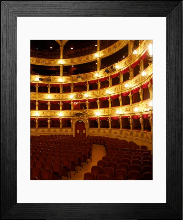 Framed Print : Giuseppe Verdi Municipal Theater (formerly the Grand Theater) in Trieste, by Giovanni Antonio Selva, 1798 - 1081, 18th Century, - Italy, Friuli Venezia Giulia, Trieste