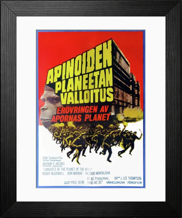 Framed Print : CONQUEST OF THE PLANET OF THE APES, (aka APINOIDEN PLANEETAN VALLOITUS), Finnish poster, 1972 Framed Print : CONQUEST OF THE PLANET OF THE APES, (aka APINOIDEN PLANEETAN VALLOITUS), Finnish poster, 1972