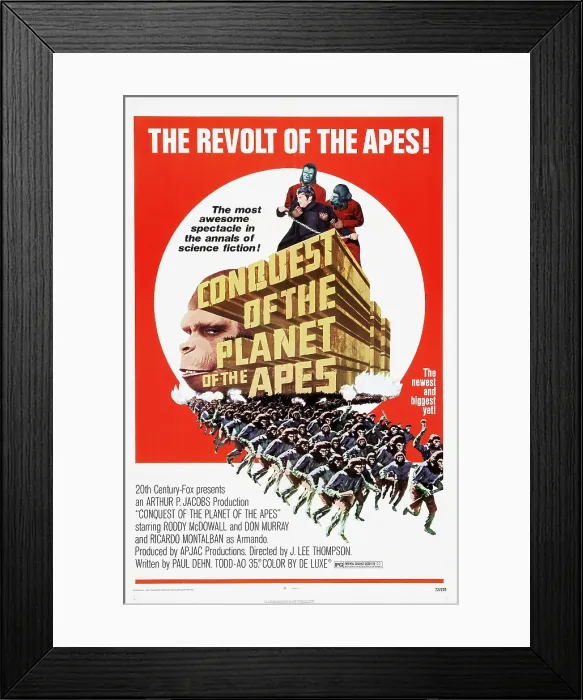 Framed Print : CONQUEST OF THE PLANET OF THE APES, US poster, Don Murray (shackled), 1972