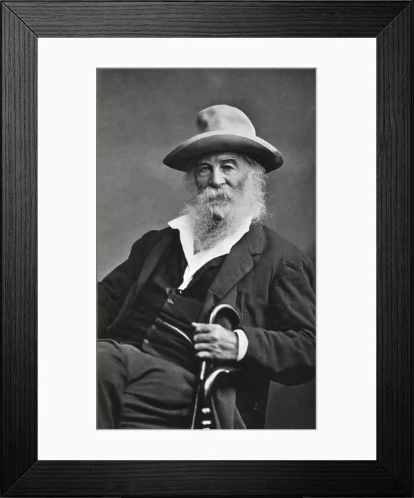 Framed Print : American poet, Walt Whitman, seated with a cane, c. 1870s (BSLOC_2018_4_50) Framed Print : American poet, Walt Whitman, seated with a cane, c. 1870s (BSLOC_2018_4_50)
