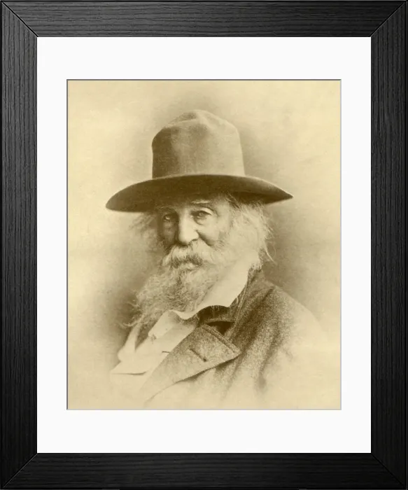 Framed Print : Portrait of American poet, Walt Whitman, wearing a broad brimmed hat, c. 1881. Photograph by Gutekunst (BSLOC_2018_4_51)