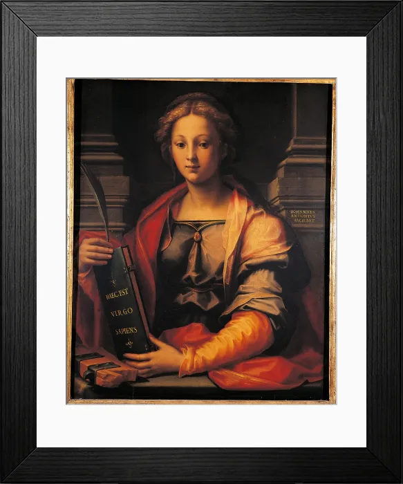 Framed Print : Saint Catherine of Alexandria, by Giovanni Antonio Sogliani, 16th Century, oil on panel, cm 82 x 67 - Italy, Lombardy, Milan, Brera Art Gallery. All Framed Print : Saint Catherine of Alexandria, by Giovanni Antonio Sogliani, 16th Century, oil on panel, cm 82 x 67 - Italy, Lombardy, Milan, Brera Art Gallery. All