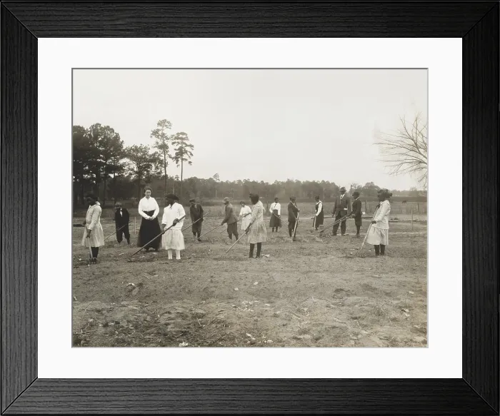 Framed Print : African American children working with rakes and hoes in a garden with teachers, 1910-25. One student is holding a push seeding machine. Photo is by Arthur P