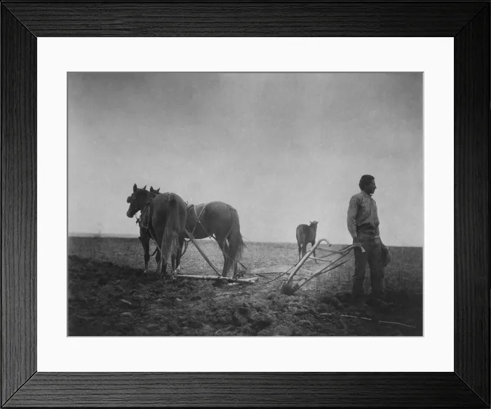 Framed Print : THE DAWN OF CIVILIZATION, a photo of a Native American in a field with a horse-drawn plow. C. 1899-1900