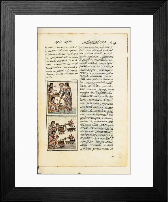 Framed Print : Historia General de las Cosas de Nueva Espaa Aztec Chronicles, by Unknown Artist, 1575 - 1577 about, 16th Century, - Italy, Tuscany, Florence, Medicean Laurentian Library. All Framed Print : Historia General de las Cosas de Nueva Espaa Aztec Chronicles, by Unknown Artist, 1575 - 1577 about, 16th Century, - Italy, Tuscany, Florence, Medicean Laurentian Library. All