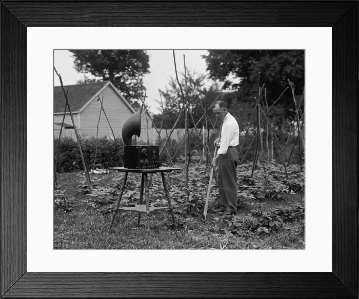 Framed Print : W.D. Terrell gardening with a radio nearby, July 7, 1926 Framed Print : W.D. Terrell gardening with a radio nearby, July 7, 1926