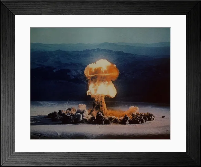 Framed Print : The PRISCILLA Shot was a 37 kiloton nuclear test that subjected 1, 200 live pigs to blast-effects studies. Pigs were burned in the blast and showered with glass blast debris