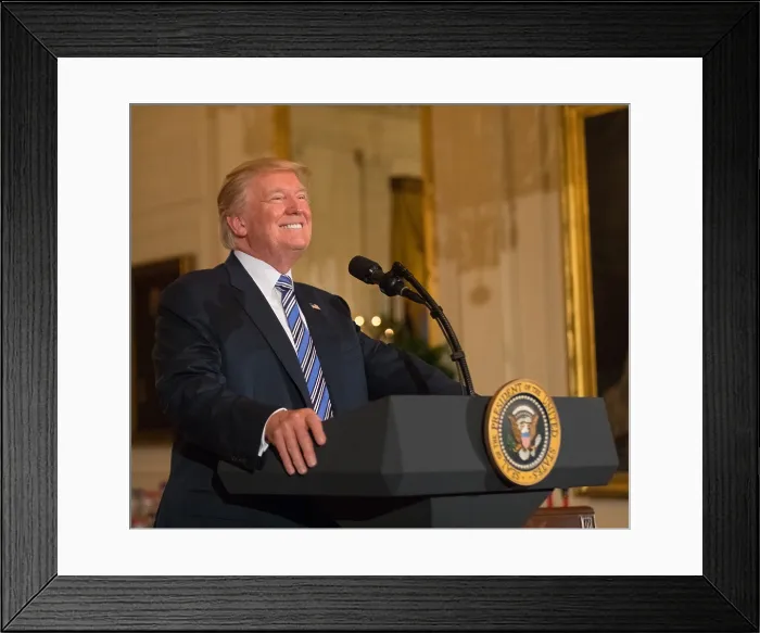 Framed Print : President Donald Trump speaks at the White House Made in America Showcase, July 17, 2017 (BSLOC_2017_19_10)