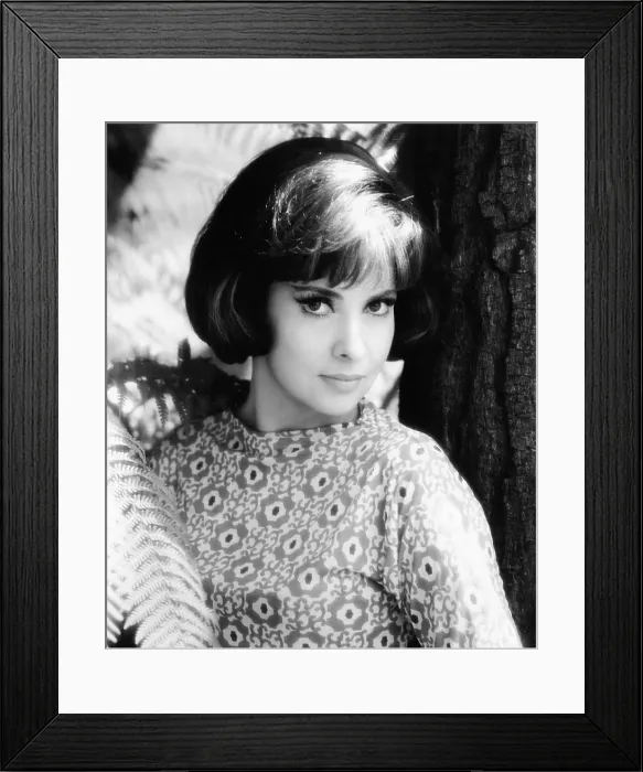 Framed Print : STRANGE BEDFELLOWS, Gina Lollobrigida, 1965
