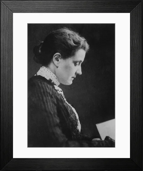 Framed Print : Jane Addams, co-founded Hull House, in Chicago, 1889. Hull House offered social services in the poor neighborhood of European ethnic groups and immigrants (BSLOC_2016_11_203) Framed Print : Jane Addams, co-founded Hull House, in Chicago, 1889. Hull House offered social services in the poor neighborhood of European ethnic groups and immigrants (BSLOC_2016_11_203)