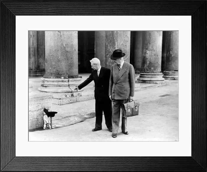 Framed Print : UMBERTO D, Carlo Battisti, 1952 Framed Print : UMBERTO D, Carlo Battisti, 1952