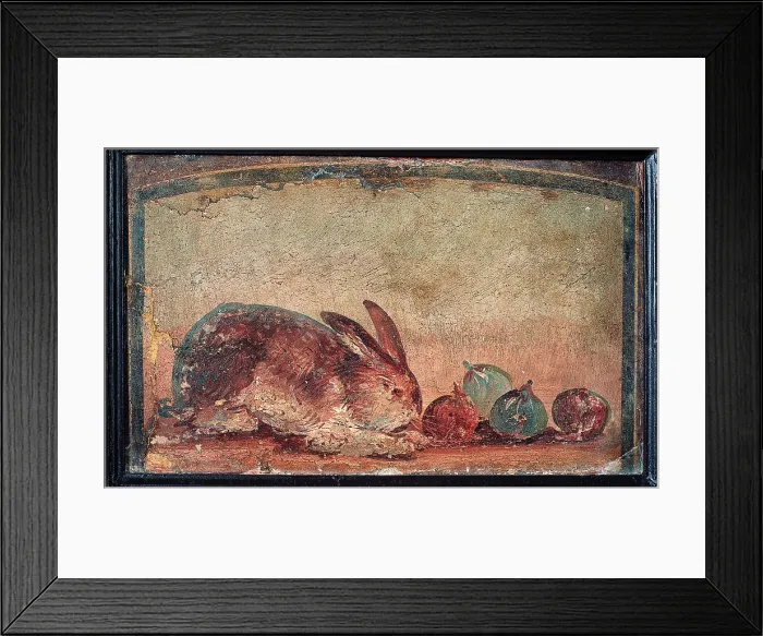 Framed Print : Rabbit and Figs, by unknown artist, 45-79, 1st Century A.D. ripped fresco, 35 x 42 cm - Italy, Campania, Naples, National Archaeological Museum, Room LXXIV, inv. 8630 Framed Print : Rabbit and Figs, by unknown artist, 45-79, 1st Century A.D. ripped fresco, 35 x 42 cm - Italy, Campania, Naples, National Archaeological Museum, Room LXXIV, inv. 8630