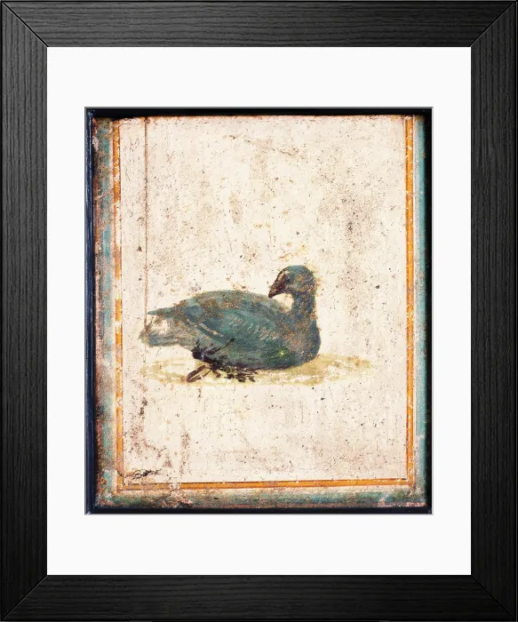 Framed Print : Bird, by unknown artist, 10-45, 1st Century A.D. ripped fresco, 24 x 20 cm - Italy, Campania, Naples, National Archaeological Museum, Room LXXVII, inv. 8726. Whole artwork view Framed Print : Bird, by unknown artist, 10-45, 1st Century A.D. ripped fresco, 24 x 20 cm - Italy, Campania, Naples, National Archaeological Museum, Room LXXVII, inv. 8726. Whole artwork view