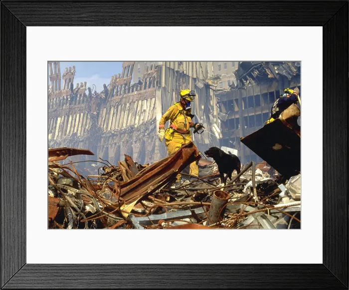 Framed Print : Search and rescue teams search for survivors amongst the wreckage of the World Trade Center. Sept. 20 2001 Framed Print : Search and rescue teams search for survivors amongst the wreckage of the World Trade Center. Sept. 20 2001