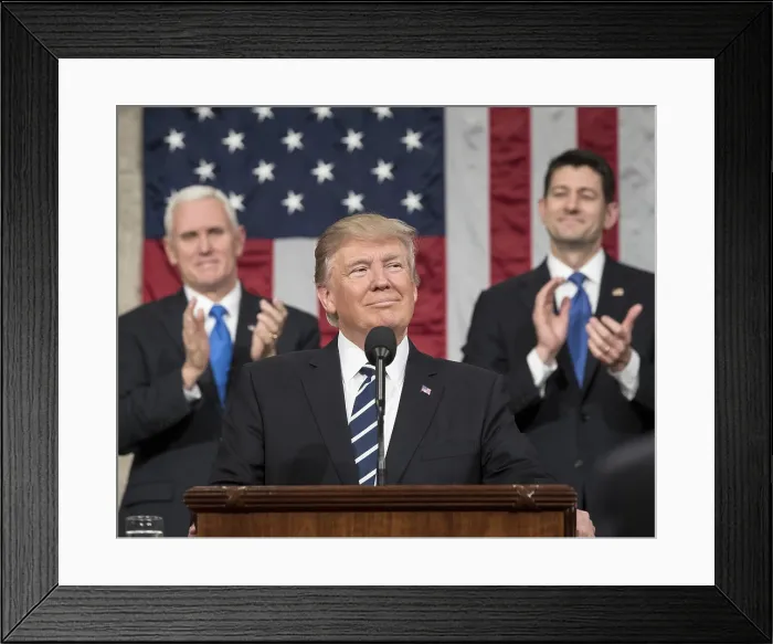 Framed Print : President Donald Trump delivers his first address to a joint session of Congress, Feb. 28, 2017