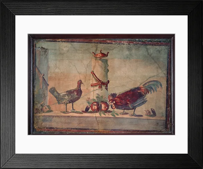 Framed Print : Rooster and Chicken, by unknown artist, 45-79, 1st Century A.D. ripped fresco, 77 x 112 cm - Italy, Campania, Naples, National Archaeological Museum, Room LXXIV, inv. 9714