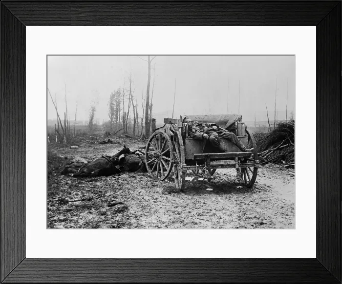 Framed Print : Dead WW1 German Artilleryman and horses. 1914-18. (BSLOC_2012_4_61)