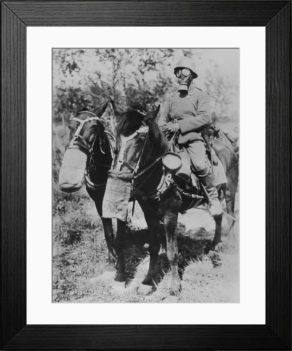Framed Print : Soldier and horses wearing gas masks during World War 1