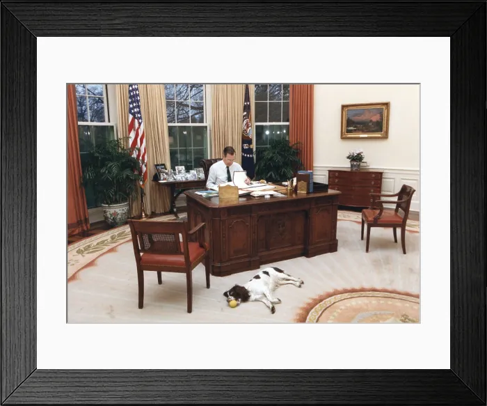 Framed Print : President George H.W. Bush, at Resolute Desk in Oval Office with the family English Springer Spaniel, Millie. Feb. 16, 1989 (BSLOC_2021_3_52)