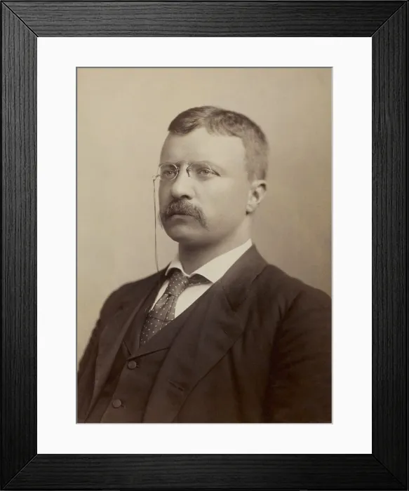 Framed Print : Colonel Theodore Roosevelt, portrait by Benjamin J. Falk during his 1898 campaign for Governor of NY (BSLOC_2017_4_22)