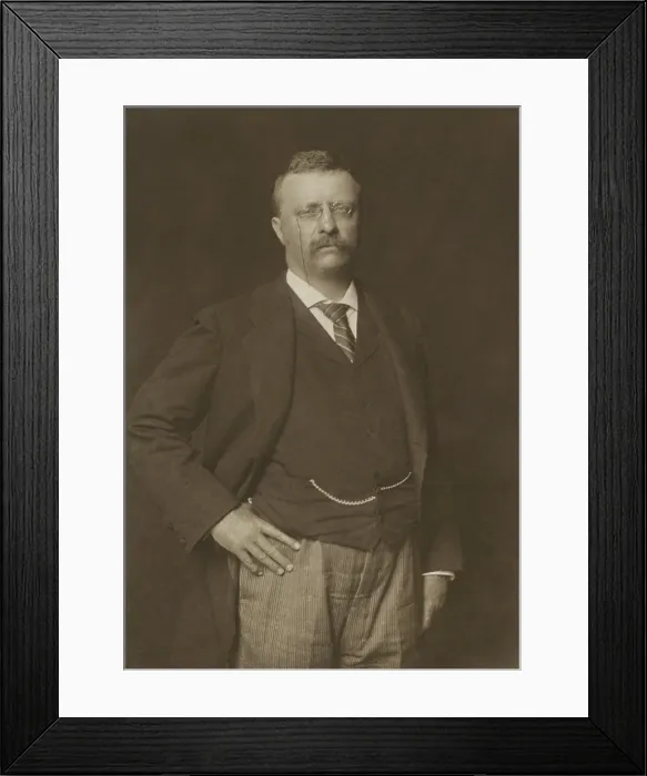 Framed Print : New York Governor Theodore Roosevelt in June 1900, by R. W. Thatcher