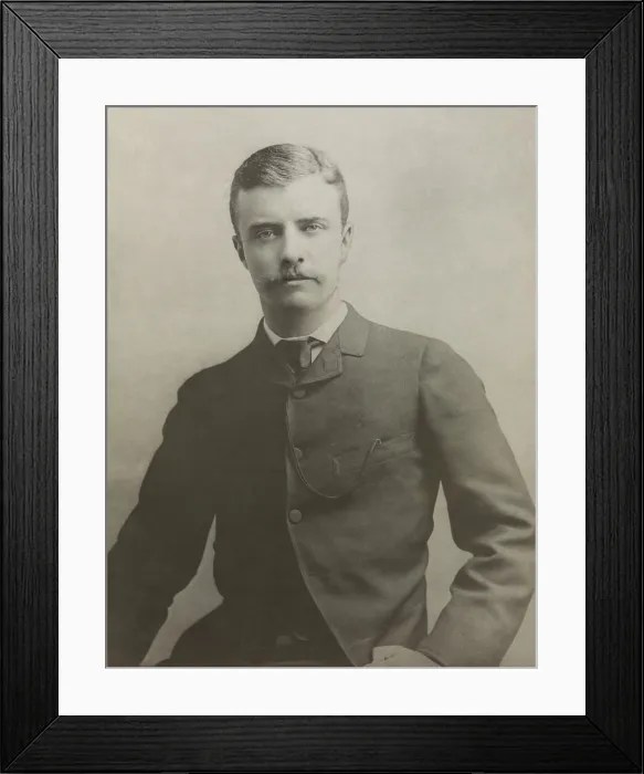 Framed Print : Theodore Roosevelt as an assemblyman from New York County, 21st District in 1882 (BSLOC_2017_4_3)