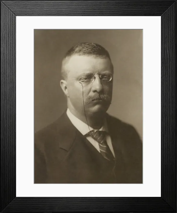 Framed Print : New York Governor Theodore Roosevelt in June 1900, by R. W. Thatcher. Bust portrait taken when he was nominated for Vice-President by the Republican Party (BSLOC_2017_4_30) Framed Print : New York Governor Theodore Roosevelt in June 1900, by R. W. Thatcher. Bust portrait taken when he was nominated for Vice-President by the Republican Party (BSLOC_2017_4_30)