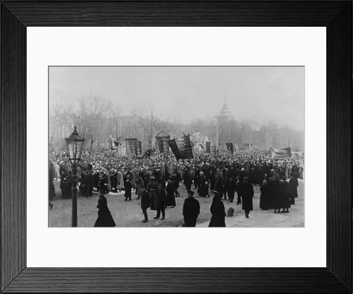 Framed Print : The 1st of May celebration, Isaakievskii Square, St. Petersburg, 1917 (BSLOC_2013_4_219)
