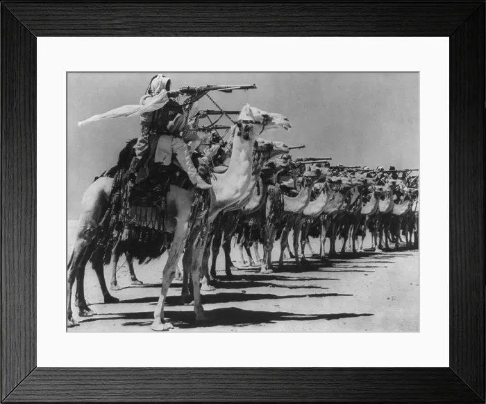 Framed Print : Camel Corps of the Arab Legion practice firing from the saddle during World War 2. Ca. 1940-43. (BSLOC_2013_14_11)