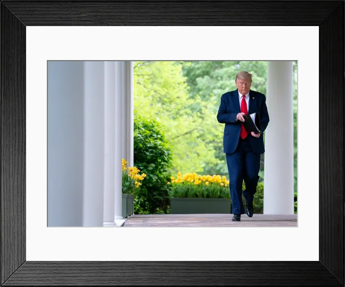 Framed Print : President Donald Trump walks to a coronavirus (COVID-19) update briefing on April 14, 2020, in the White House Rose Garden (BSLOC_2020_4_29) Framed Print : President Donald Trump walks to a coronavirus (COVID-19) update briefing on April 14, 2020, in the White House Rose Garden (BSLOC_2020_4_29)
