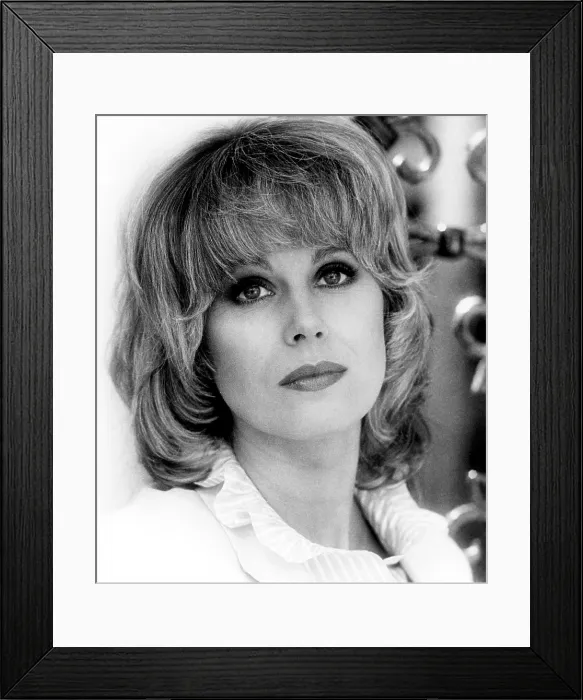 Framed Print : TRAIL OF THE PINK PANTHER, Joanna Lumley, 1982, (c) MGM / courtesy Everett Collection