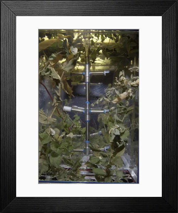 Framed Print : Russian Lada greenhouse on the International Space Station. It is an experiment on plant development and genetics
