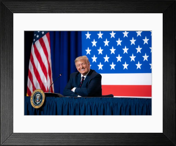 Framed Print : President Donald Trump at an American Red Cross meeting on blood plasma donation during the COVID-19 pandemic, July 30, 2020 (BSLOC_2020_6_7)
