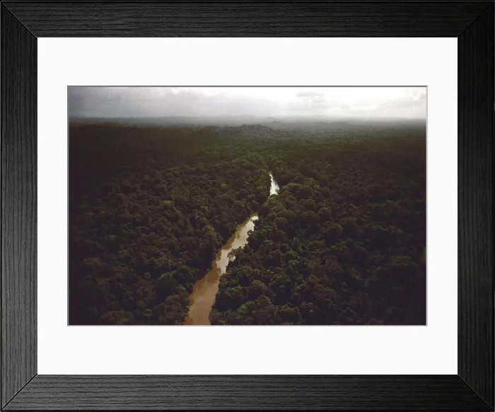 Framed Print : Kaituma River flowing through the rain forest near the People's Temple Agricultural Project, in Jonestown, Guyana. 1978