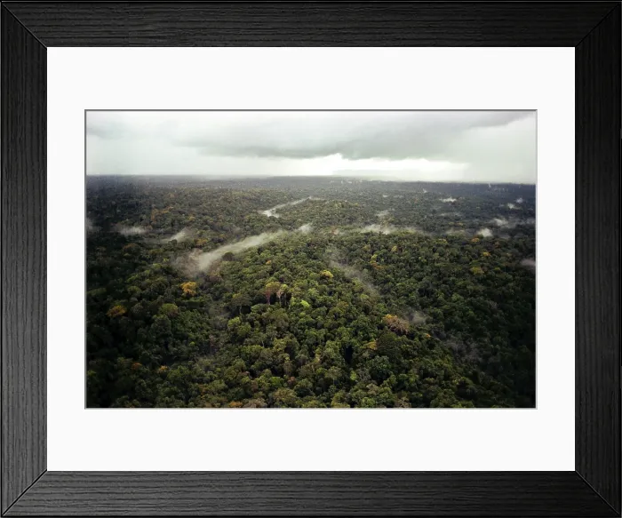 Framed Print : Aerial photo of Guyana Jungle. FBI photo taken during the investigation of the People's Temple mass suicide. Nov. 1978 Framed Print : Aerial photo of Guyana Jungle. FBI photo taken during the investigation of the People's Temple mass suicide. Nov. 1978