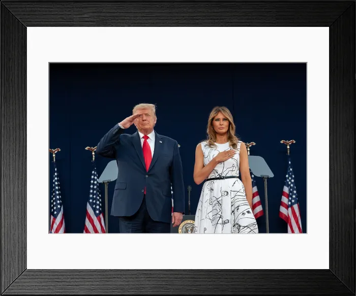 Framed Print : President Donald Trump and First Lady Melania Trump salute during the national anthem at the Mount Rushmore Independence Day Celebration, July 3, 2020 (BSLOC_2020_6_1)